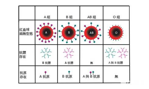 1566315776770751.jpg RH阴性血的女性可以生育出健康的孩子吗?