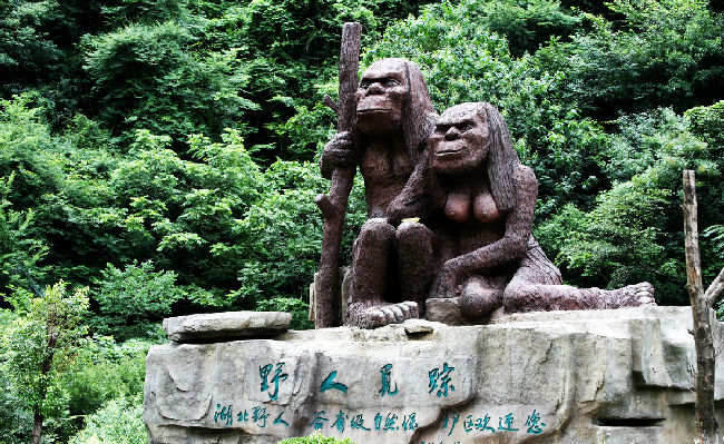 神农架野人之谜 科学家否定有野人存在