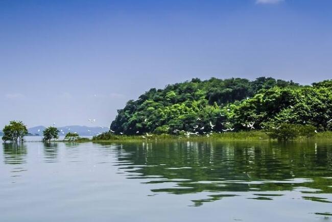 中国五大淡水湖 中国文化的发源地
