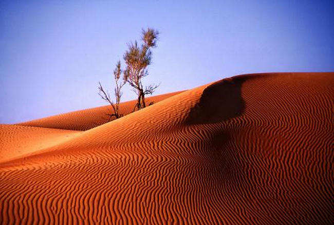 世界十大沙漠 撒哈拉居首