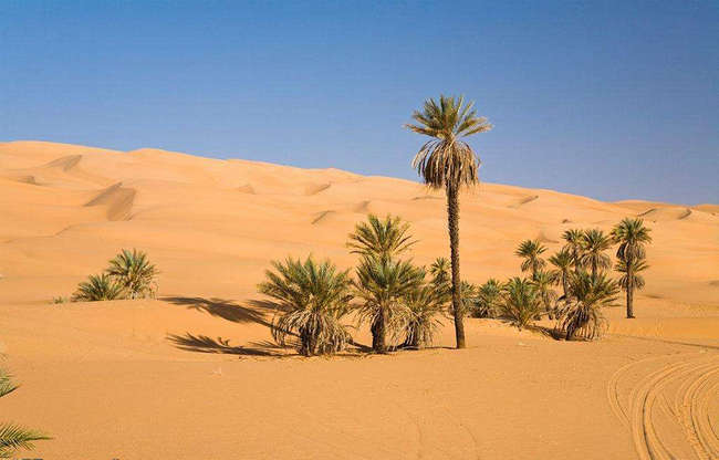 世界十大沙漠 撒哈拉居首