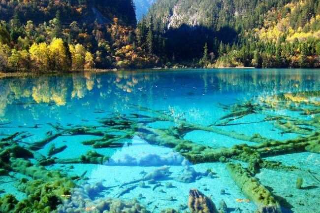 世界十大最美湖泊 美得让人看了一眼就不想走