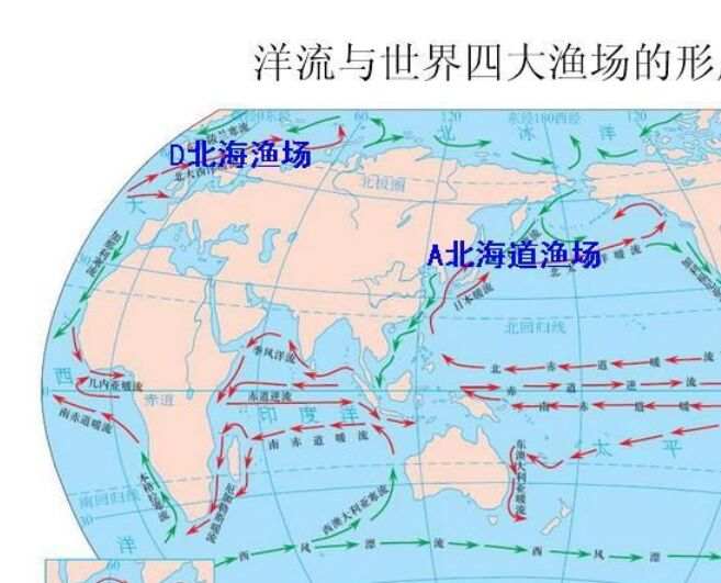 世界四大渔场 纽芬兰渔场已成为历史