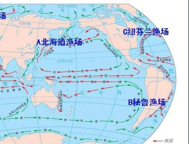 世界四大渔场 纽芬兰渔场已成为历史