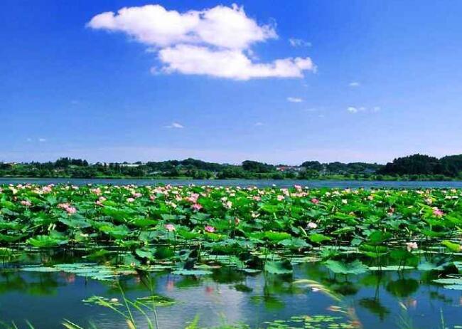 保定景点排行榜 白洋淀小兵张嘎的取景地