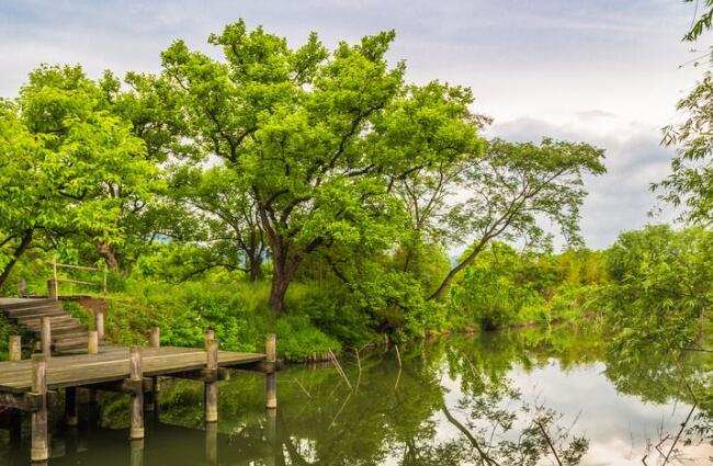 杭州景点排行榜 淡妆浓抹总相宜的美景