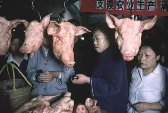 成年人图片,小儿不宜!